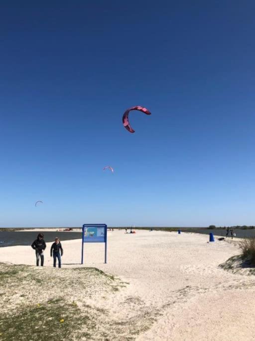 Vila Gezellige Pipo Met Grote Schommel Aan Het Water Medemblik Exteriér fotografie