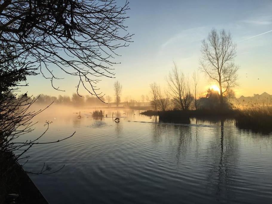 Vila Gezellige Pipo Met Grote Schommel Aan Het Water Medemblik Exteriér fotografie