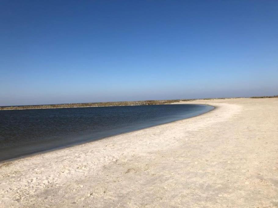 Vila Gezellige Pipo Met Grote Schommel Aan Het Water Medemblik Exteriér fotografie